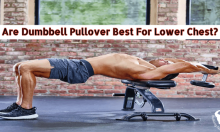 Are Dumbbell Pullover Best For Lower Chest? Best Exercise at Home for Beginners 2023