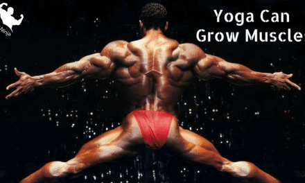 Yoga Can Grow Muscles : Best Exercise at Home 2023