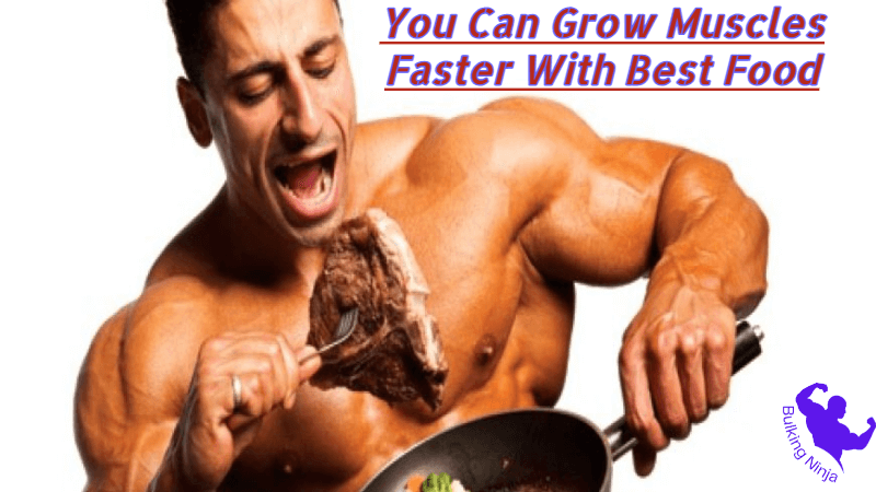 You Can Grow Muscles Faster With Best Food: Perfect Diet plan for Beginners 2023