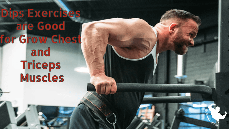 Dips Exercises are Good for Grow Chest and Triceps Muscles : Best home exercise for beginners 2023