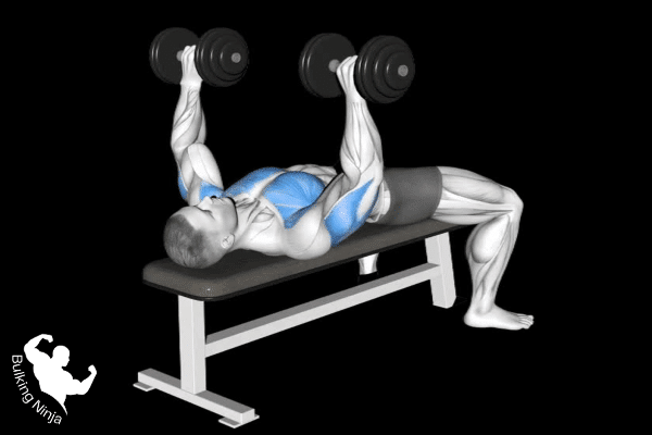 https://bulkingninja.com/what-are-the-benefits-of-dumbbell-bench-press-exercise/