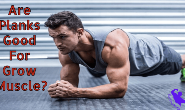 Are Planks Good For Grow Muscle?  Best Exercise Guide for beginners at Home 2023