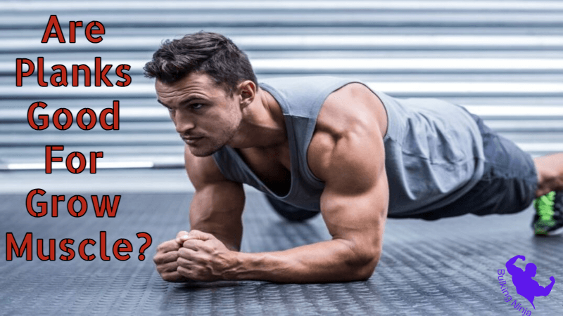 Are Planks Good For Grow Muscle?  Best Exercise Guide for beginners at Home 2023