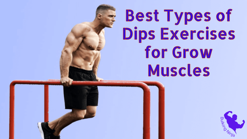 Best Types of Dips Exercises for Grow Muscles : Supercharge Your Muscle Growth 2023