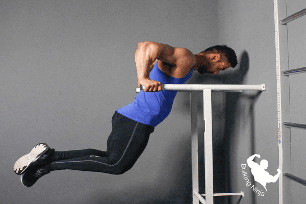 https://bulkingninja.com/best-types-of-dips-exercises-for-grow-muscles/ 