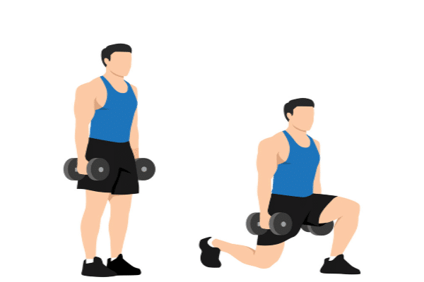 https://bulkingninja.com/are-dumbbell-lunges-good-for-legs-muscles/