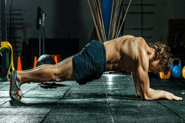 https://bulkingninja.com/are-planks-good-for-grow-muscle/