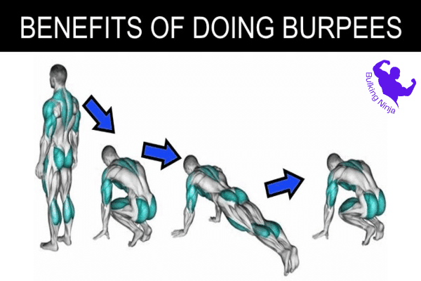 https://bulkingninja.com/can-you-gain-strength-with-only-burpees/