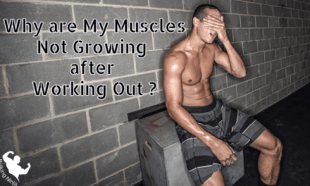 Why are My Muscles Not Growing after Working Out? Best Fitness guide for beginners  2023