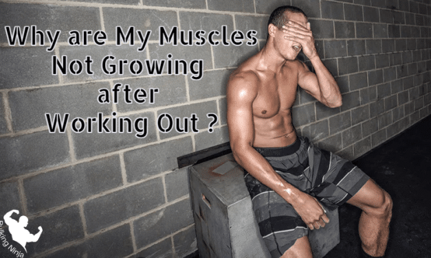 Why are My Muscles Not Growing after Working Out? Best Fitness guide for beginners  2023