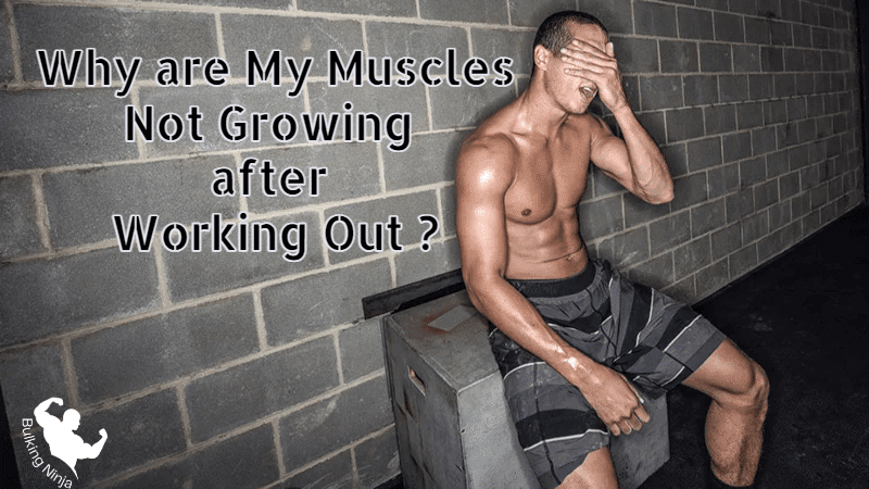 why-are-my-muscles-not-growing-after-working-out-best-fitness-guide