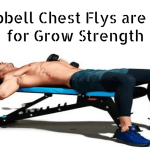 Dumbbell Chest Flys are Good for Grow Strength : Best exercise for Beginners 2024