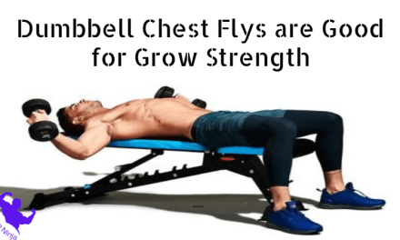 Dumbbell Chest Flys are Good for Grow Strength : Best exercise for Beginners 2024
