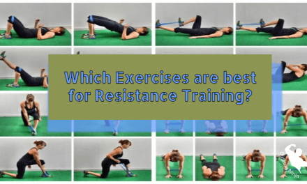 Which Exercises are best for Resistance Training? Best Exercises for Beginners 2024