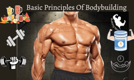 Can You Gain Muscles Using Basic Principles of Bodybuilding? Key Principles 2024